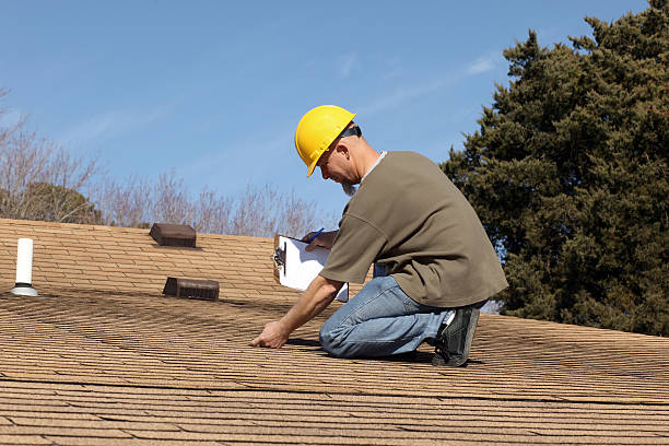 Best Roof Moss and Algae Removal  in Shiloh, PA